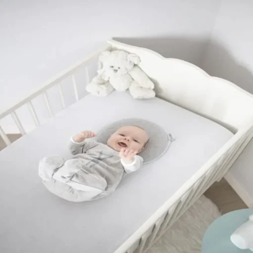 Babymoov Lovenest and Flat head Baby Pillow
