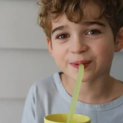 B.Box Silicone straws 5 pcs