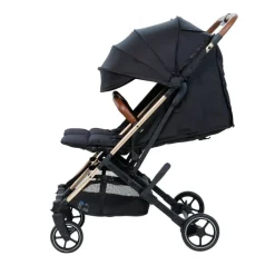 Beblum Gemini Twin Stroller