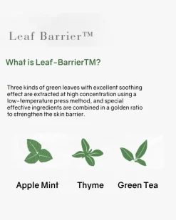 Botanical Therapy Stretch Cream