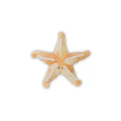 Bubble Plush Starfish