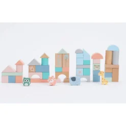 Bubble Wooden Activity Blocks