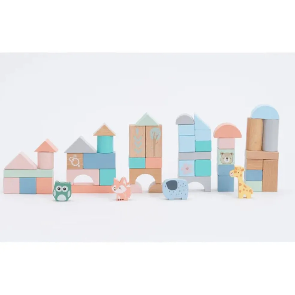 Bubble Wooden Activity Blocks