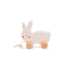 Bubble Wooden Rabbit Pull Along Toy
