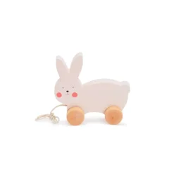 Bubble Wooden Rabbit Pull Along Toy