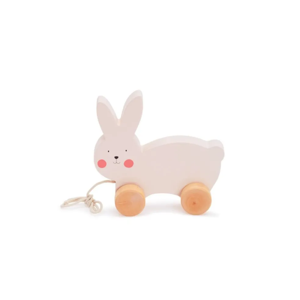 Bubble Wooden Rabbit Pull Along Toy