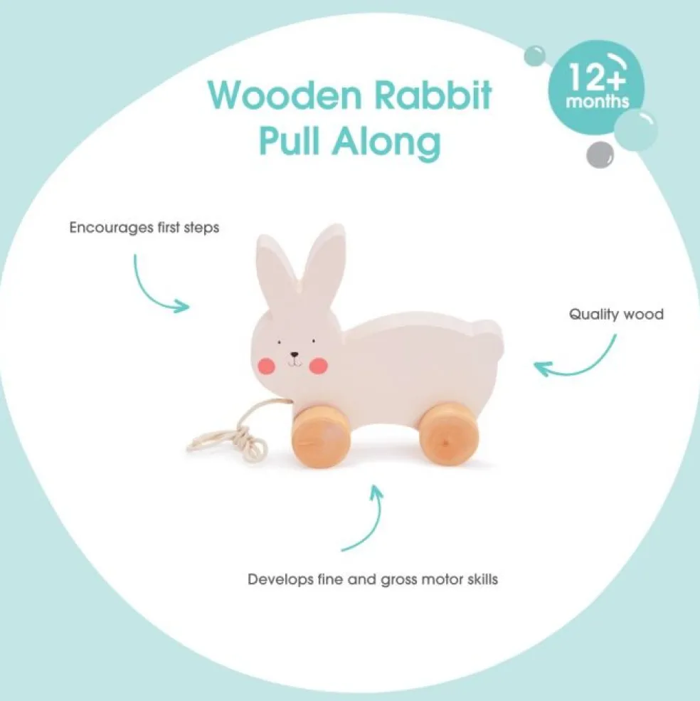 Bubble Wooden Rabbit Pull Along Toy