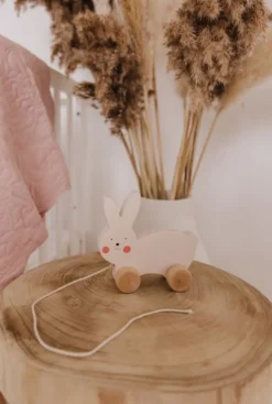 Bubble Wooden Rabbit Pull Along Toy