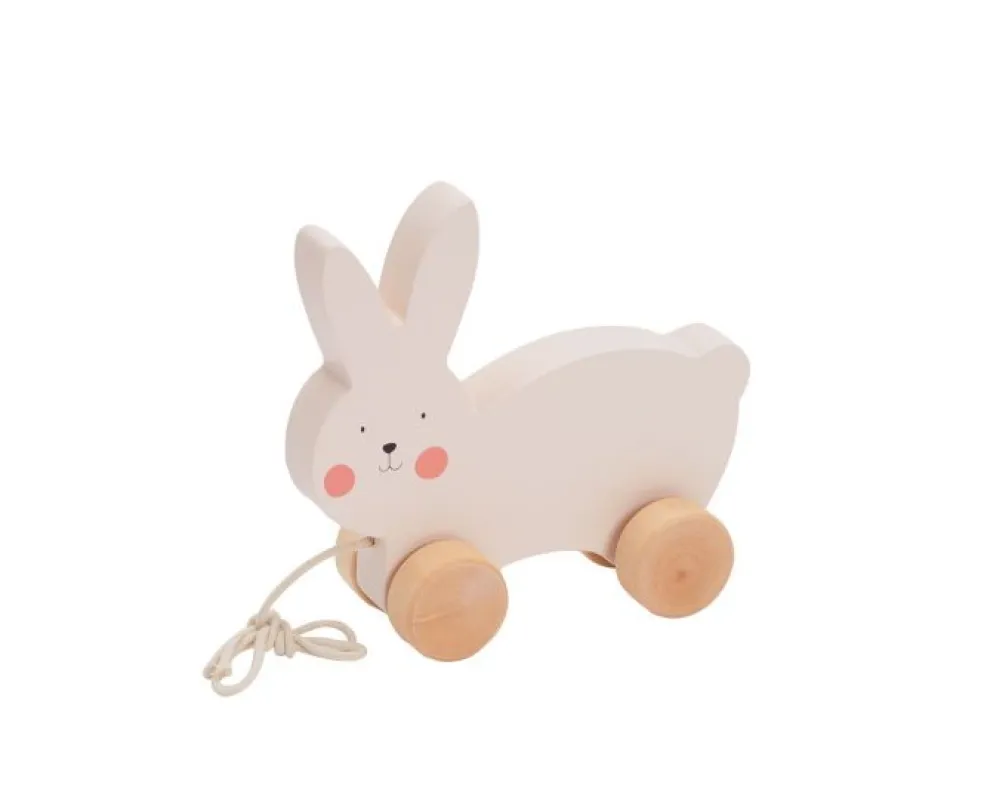 Bubble Wooden Rabbit Pull Along Toy