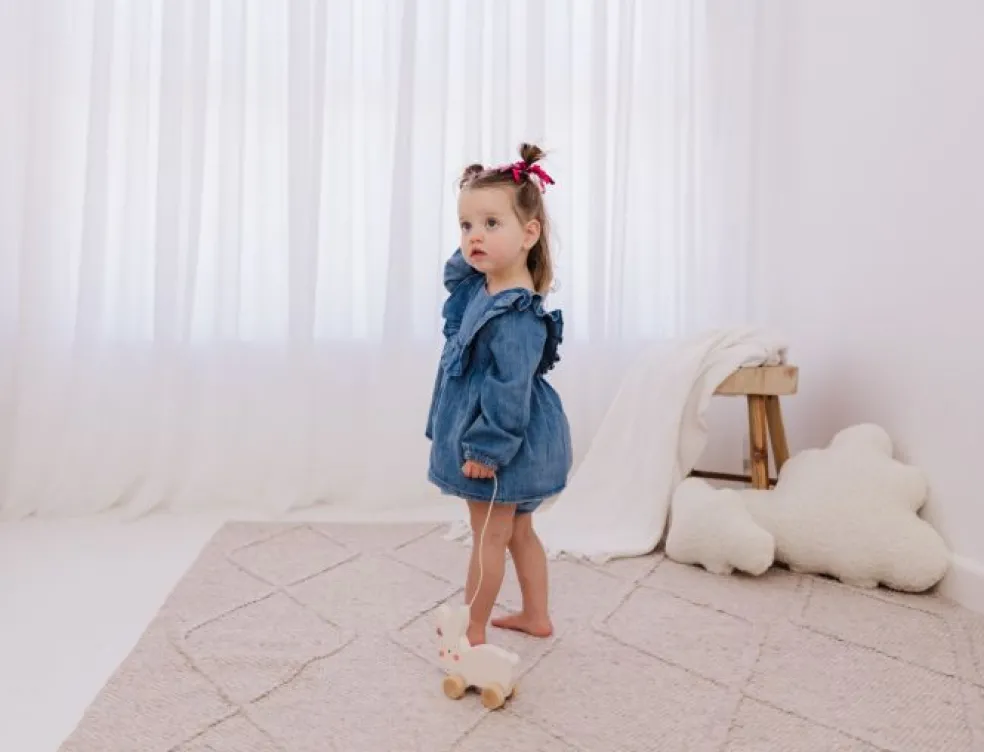 Bubble Wooden Rabbit Pull Along Toy