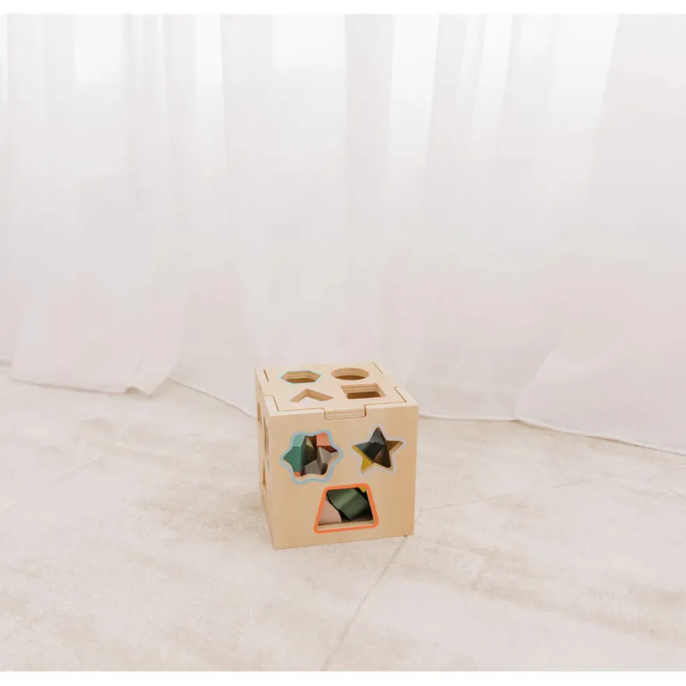 Bubble Wooden Shape Sorting Cube