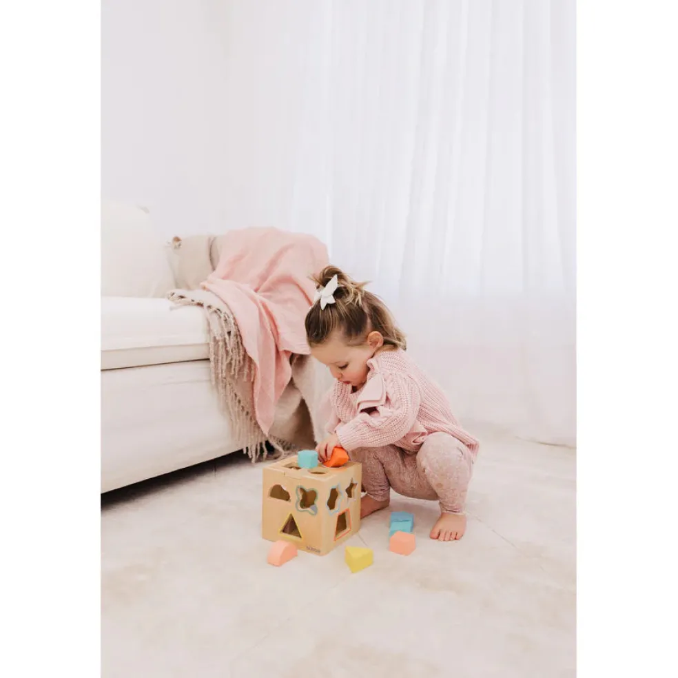 Bubble Wooden Shape Sorting Cube