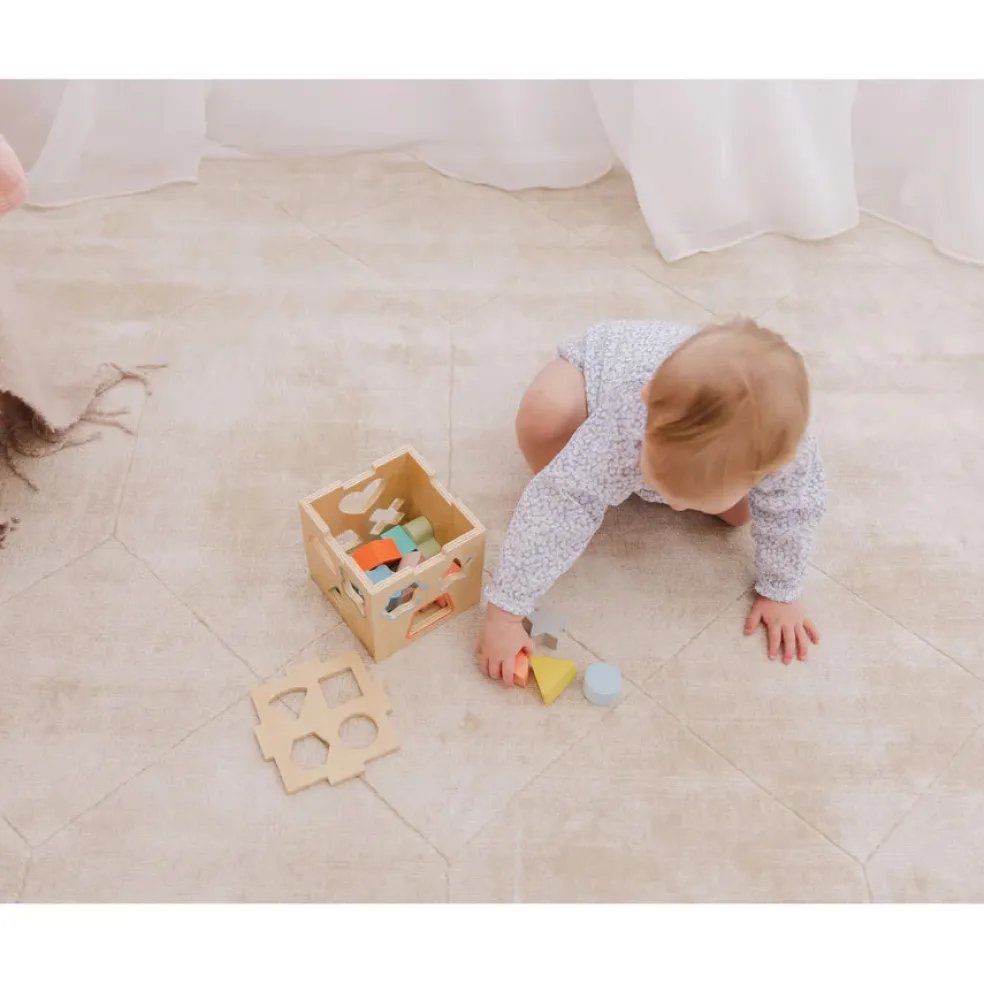 Bubble Wooden Shape Sorting Cube
