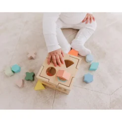 Bubble Wooden Shape Sorting Cube