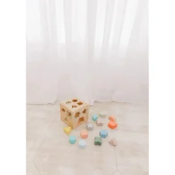 Bubble Wooden Shape Sorting Cube