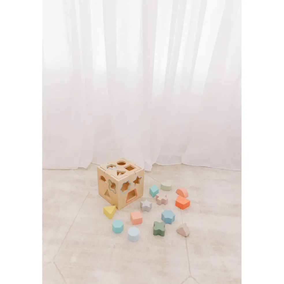 Bubble Wooden Shape Sorting Cube