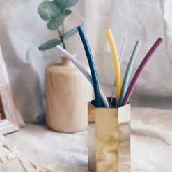 Busymat Reusable Straw