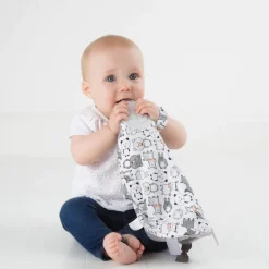 Cheeky Chompers Panda Pals Comfortchew