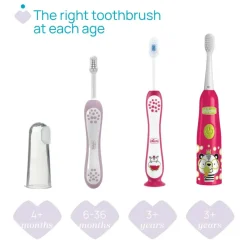 Chicco First Teeth Toothbrush (6-36M)