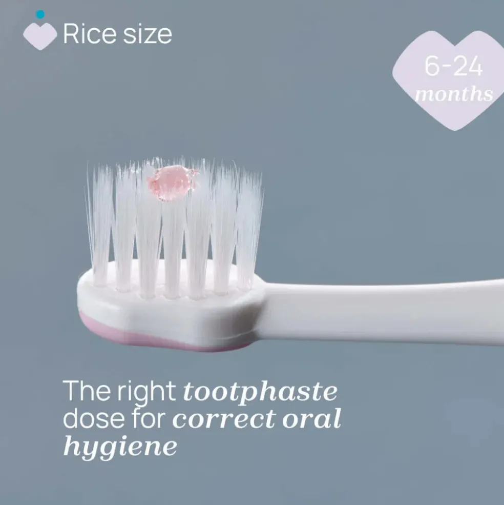 Chicco First Teeth Toothbrush (6-36M)