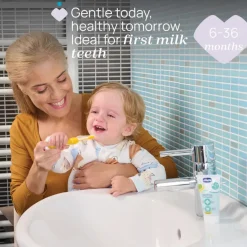 Chicco First Teeth Toothbrush (6-36M)