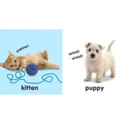 DK Books Baby Touch and Feel: Animals