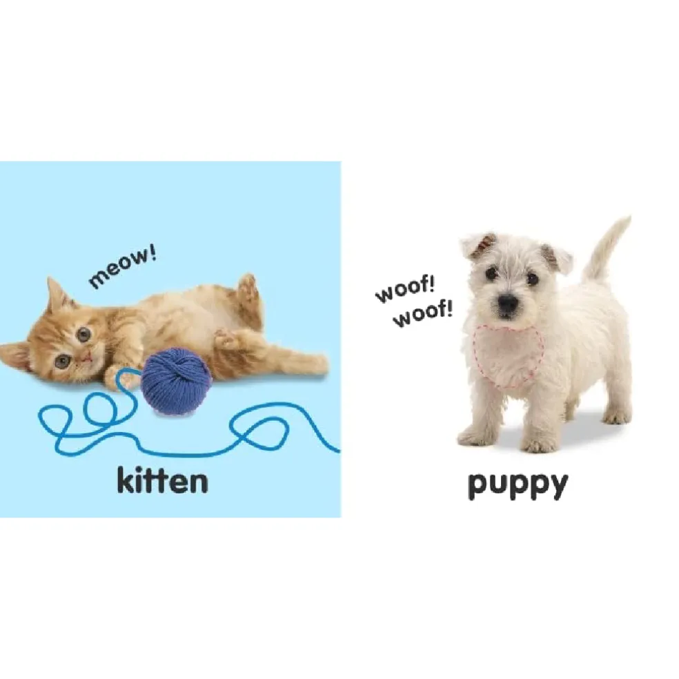 DK Books Baby Touch and Feel: Animals