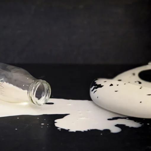 Kushies Silicatch Bib - Spilt Milk