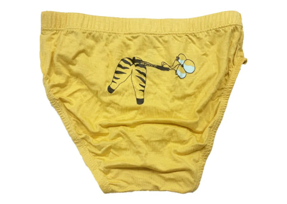 Little Zebra Boys Underwear (Soft Bamboo)