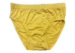 Little Zebra Boys Underwear (Soft Bamboo)