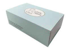 Little Zebra Boys Underwear (Soft Bamboo)