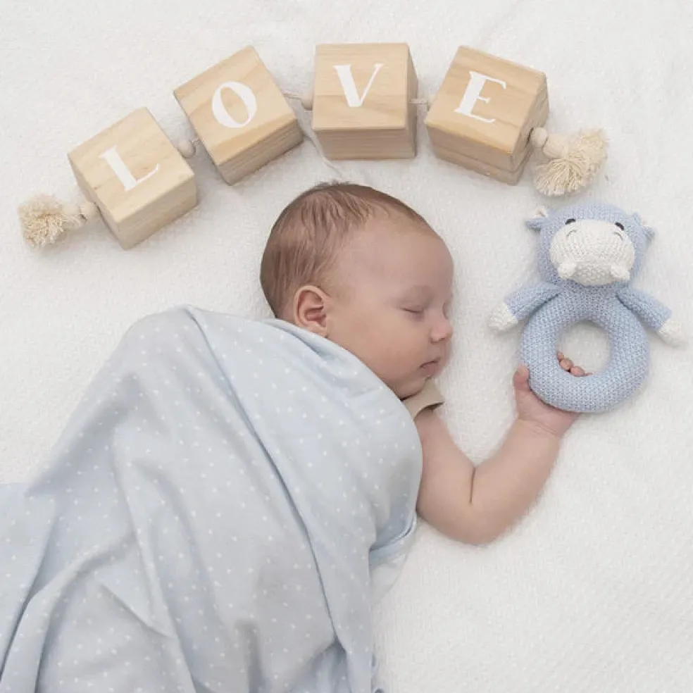 Living Textiles Jersey Swaddle & Rattle Gift Set