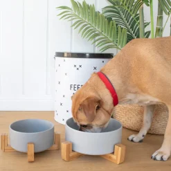 Louie Living Ceramic Pet Bowl With Stand