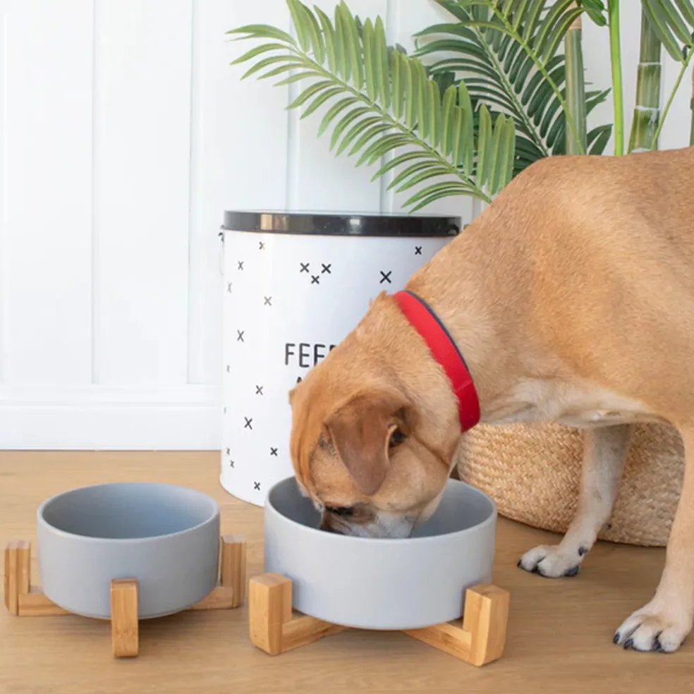Louie Living Ceramic Pet Bowl With Stand