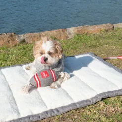 Louie Living Pet Toy - Football