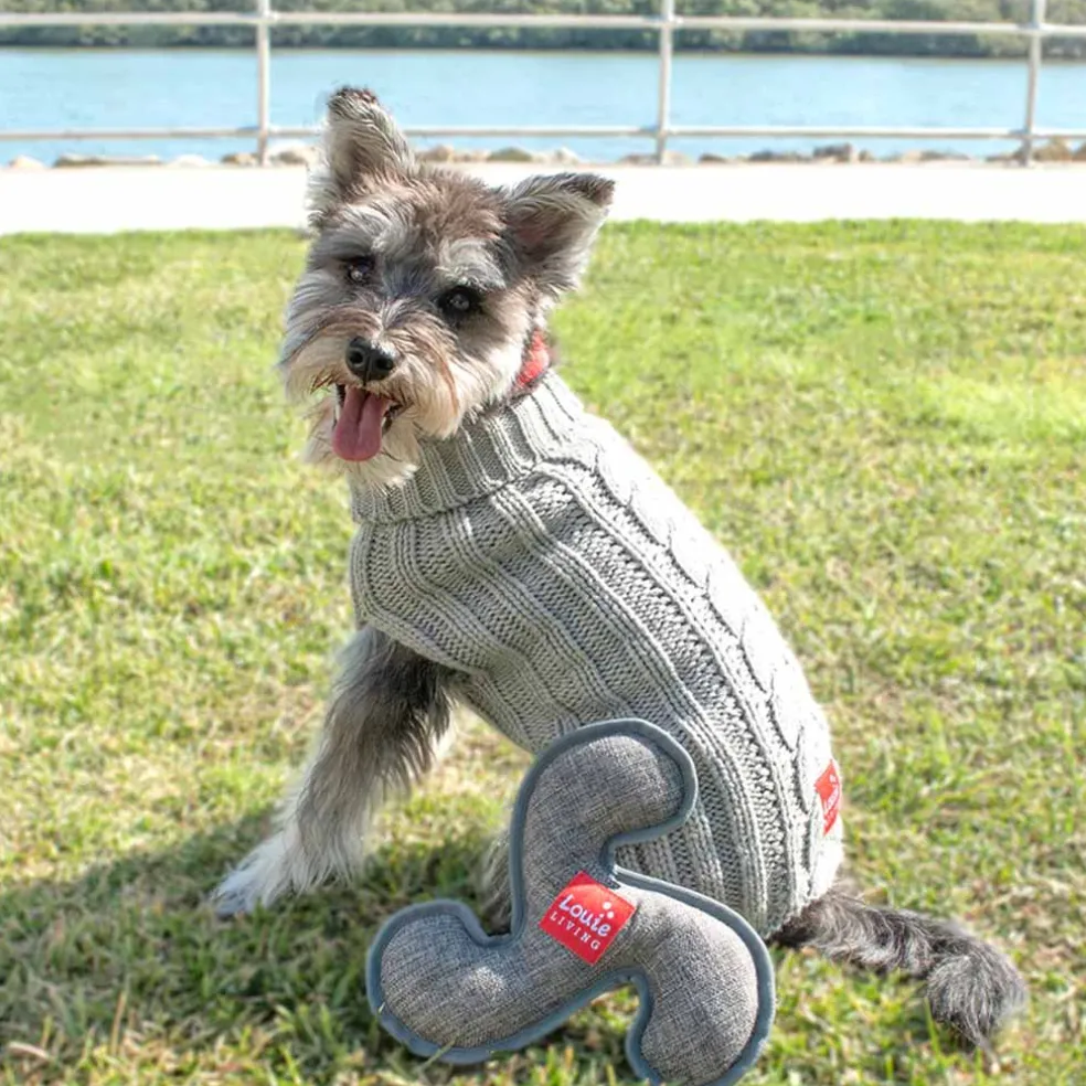 Louie Living Pet Toy - Frisbee