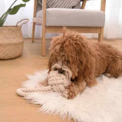 Louie Living Pet Toy - Tug Rope (Small)