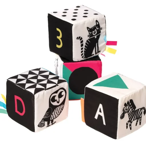 Manhattan Toy Wimmer Ferguson Mind Cubes
