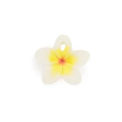 Oli&Carol Chewy-to-Go Hawaii the Flower