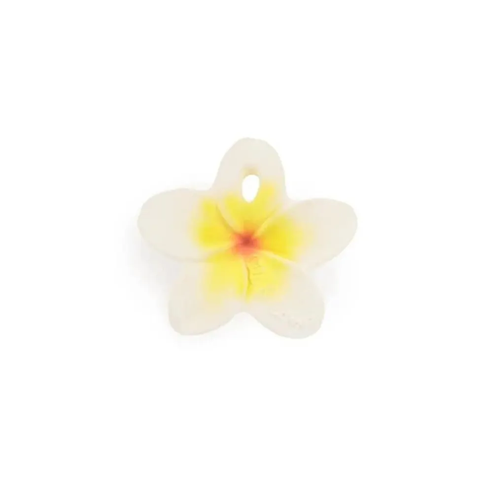 Oli&Carol Chewy-to-Go Hawaii the Flower