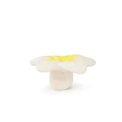 Oli&Carol Chewy-to-Go Hawaii the Flower