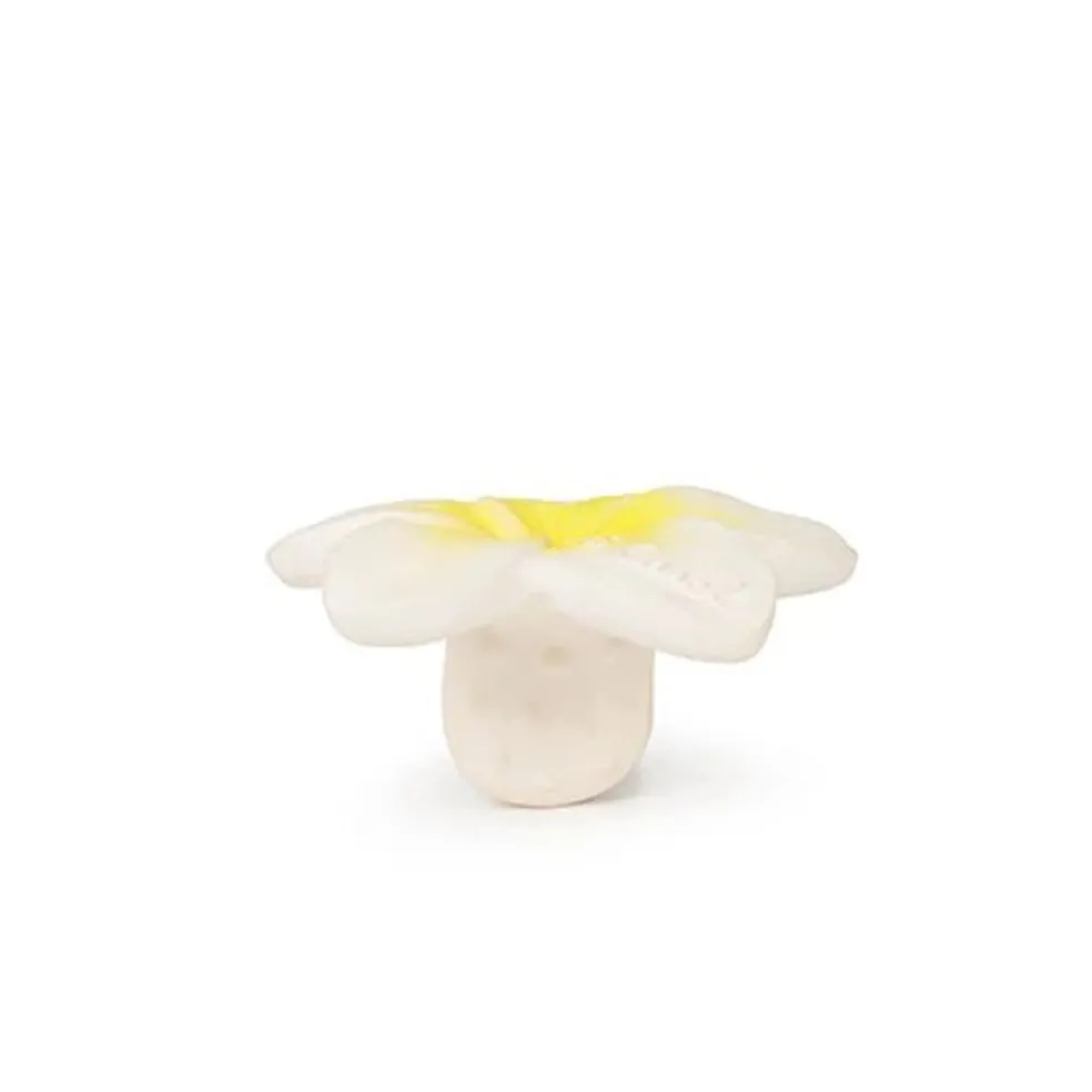 Oli&Carol Chewy-to-Go Hawaii the Flower