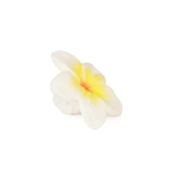 Oli&Carol Chewy-to-Go Hawaii the Flower