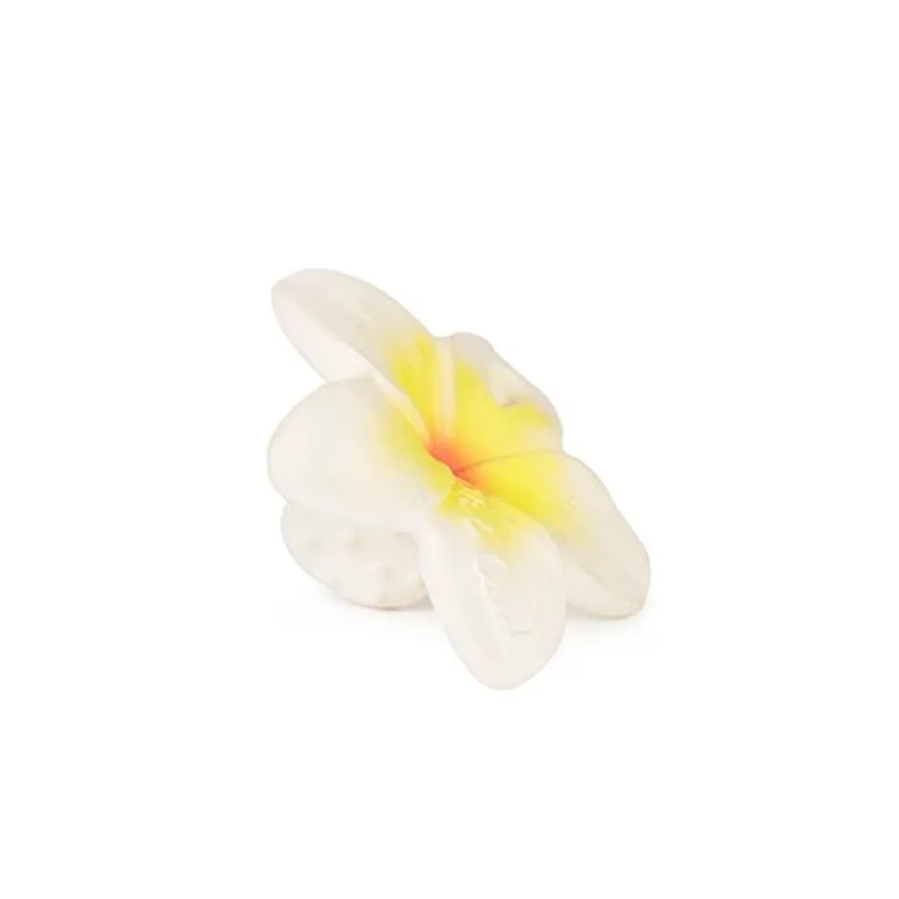 Oli&Carol Chewy-to-Go Hawaii the Flower