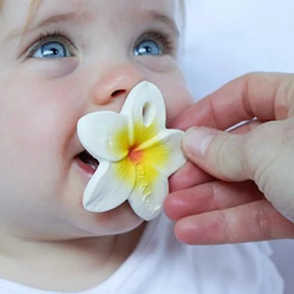 Oli&Carol Chewy-to-Go Hawaii the Flower