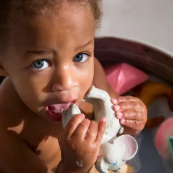 Oli&Carol Nelly the Elephant Chewable Bracelets Teether