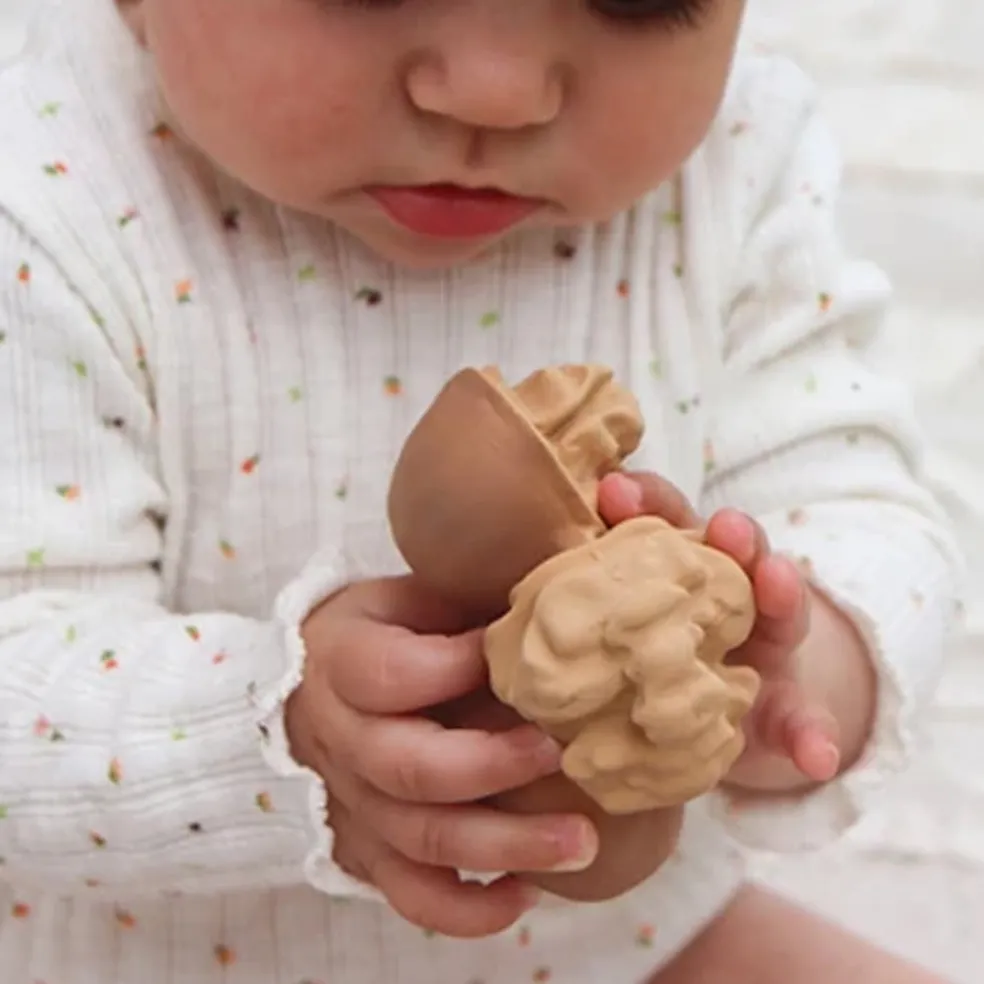 Oli&Carol Nutty the Walnut Teether