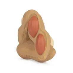 Oli&Carol Paco the Peanut Teether