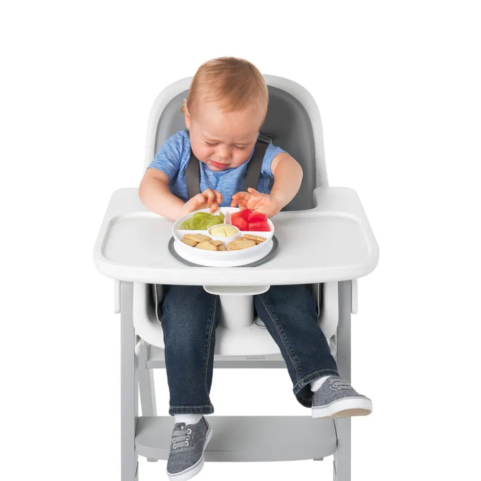 OXO Tot Stick & Stay Suction Divided Plate