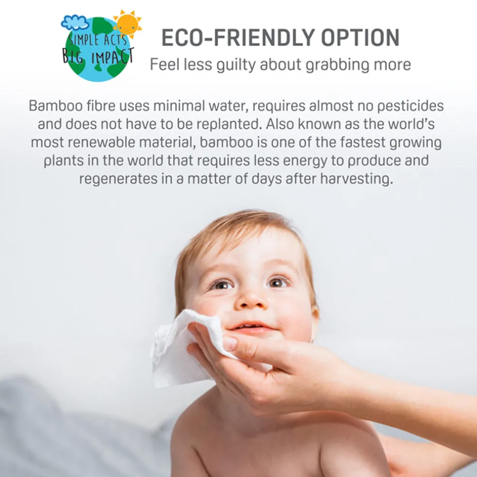 Pigeon Natural Botanical Plantmade Gentle Wipes (70 Sheets)